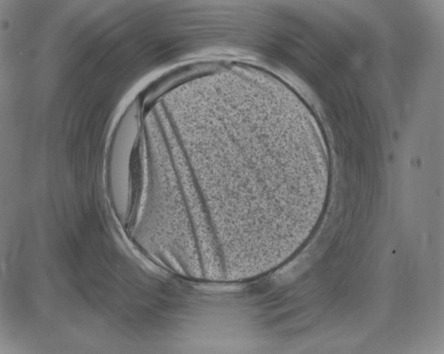 X0000083651296200703121736