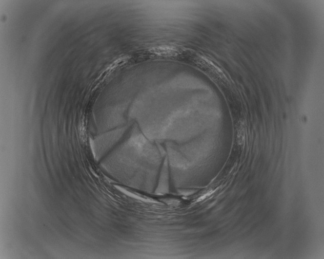 X0000083651298200703121735