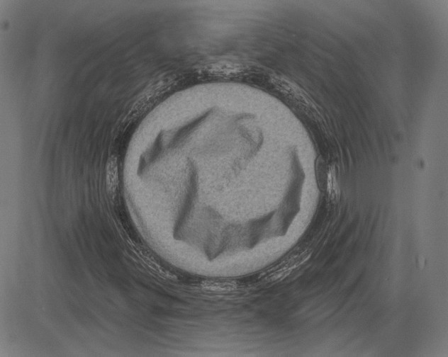 X0000083651299200703121735