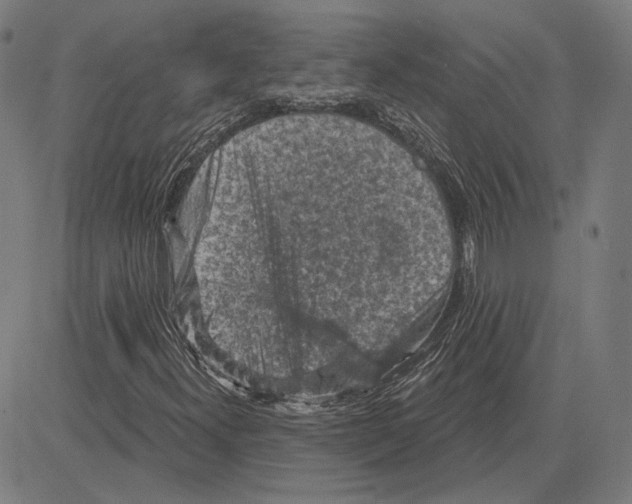 X0000083651300200703121735