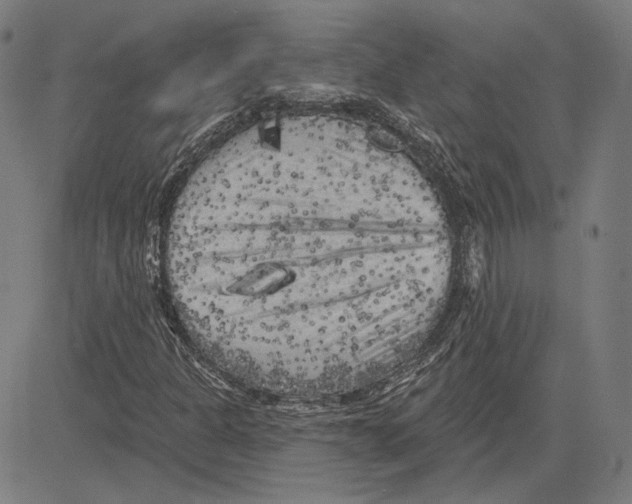 X0000083651301200703121735