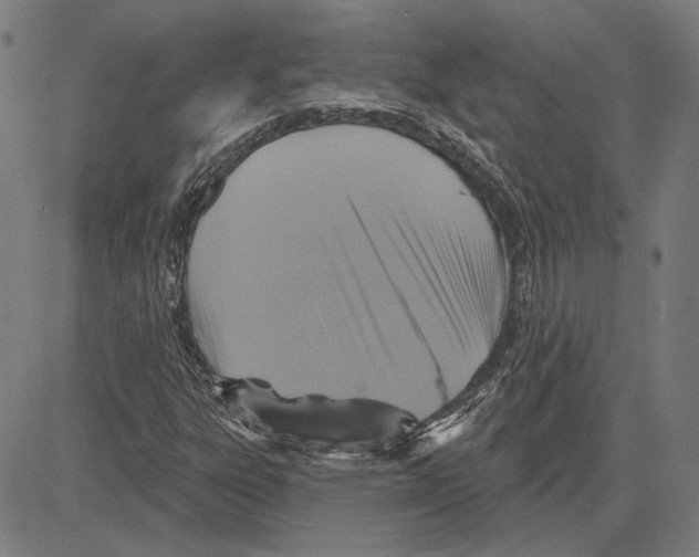 X0000083651303200703121735