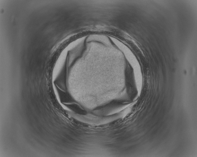 X0000083651304200703121735