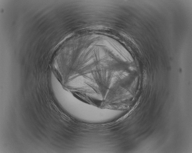 X0000083651305200703121735