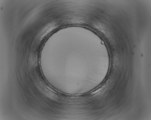 X0000083651306200703121735