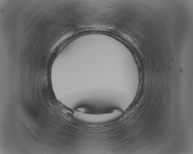 X0000083651307200703121735