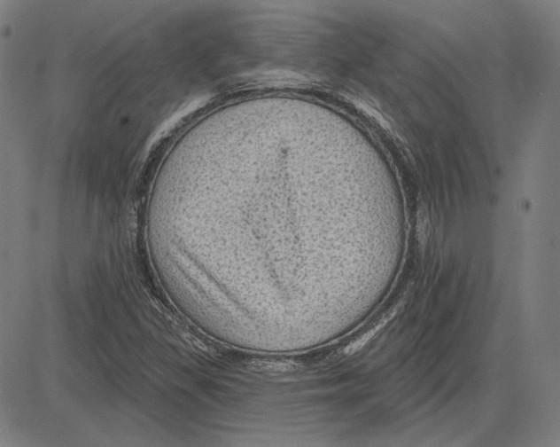 X0000083651309200703121735