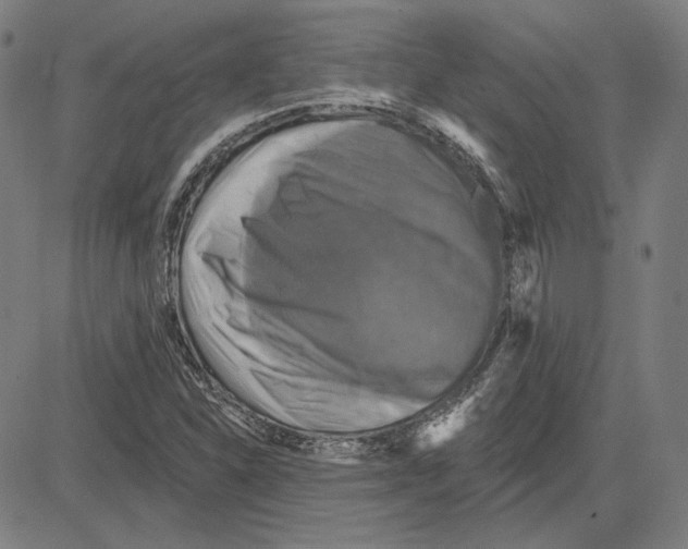 X0000083651310200703121735