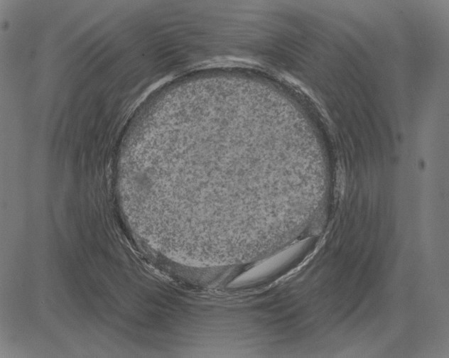 X0000083651313200703121735