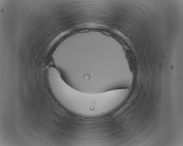 X0000083651314200703121735