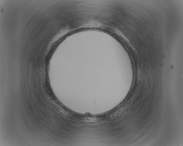 X0000083651315200703121735