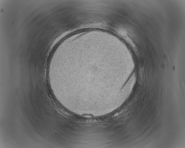 X0000083651316200703121735