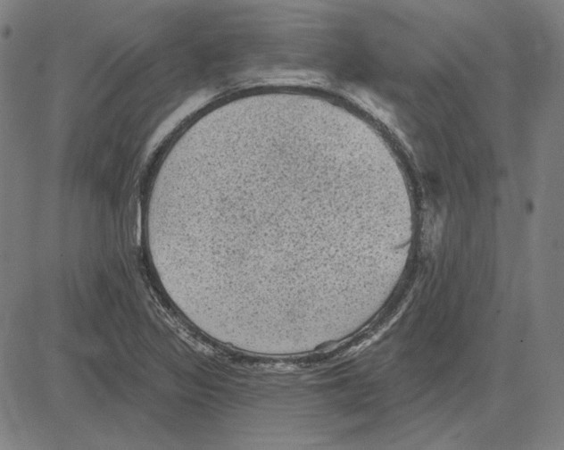 X0000083651317200703121735