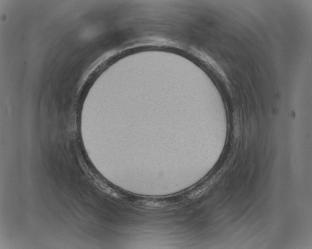 X0000083651318200703121735