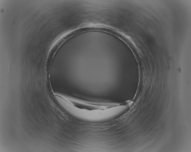 X0000083651319200703121735