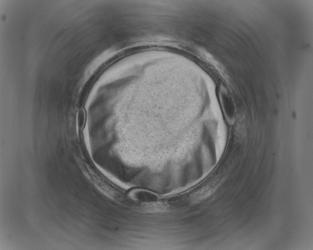 X0000083651320200703121735