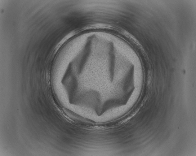 X0000083651321200703121735