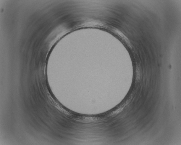 X0000083651322200703121735