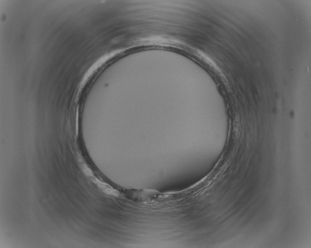 X0000083651323200703121735