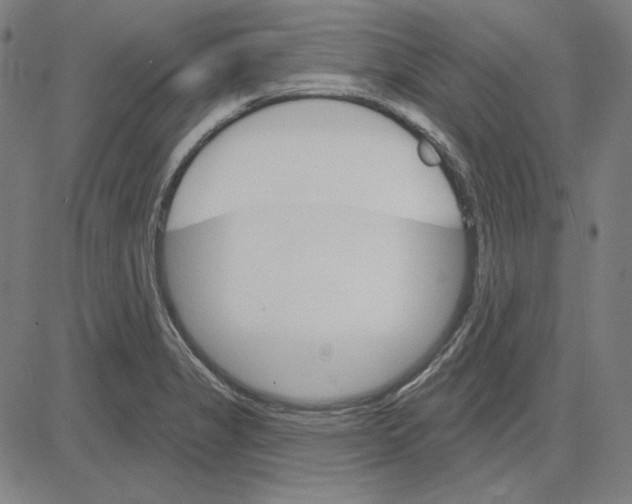 X0000083651325200703121735