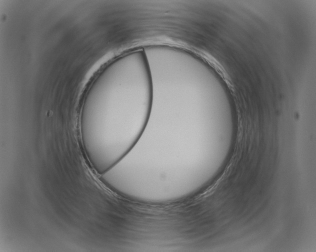 X0000083651326200703121735