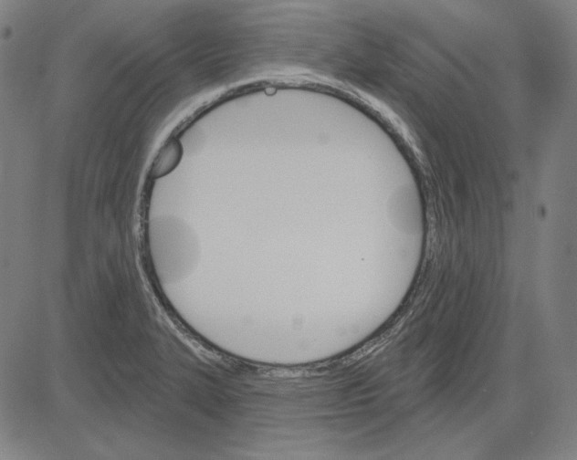 X0000083651327200703121735