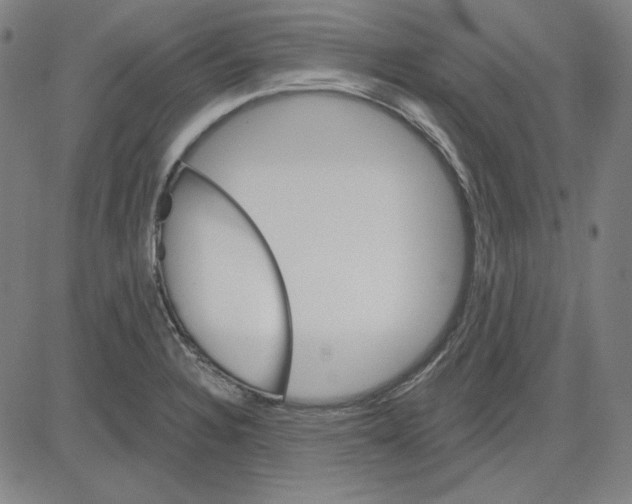 X0000083651328200703121735