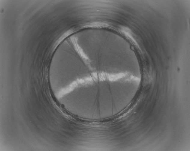 X0000083651329200703121735