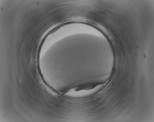 X0000083651331200703121735