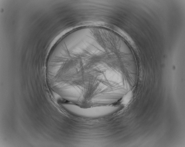 X0000083651332200703121735