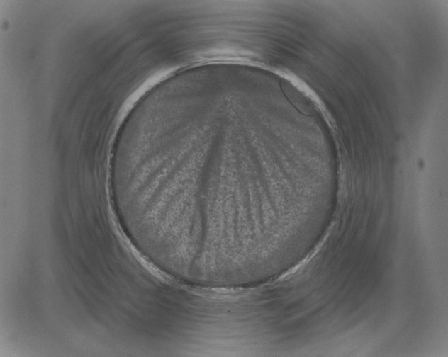 X0000083651333200703121735