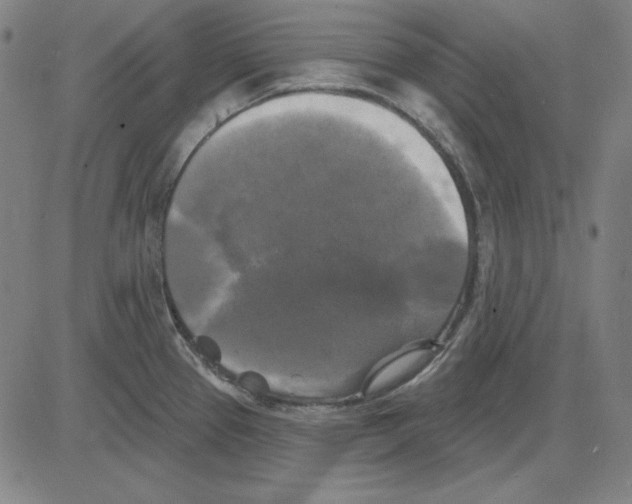 X0000083651337200703121735