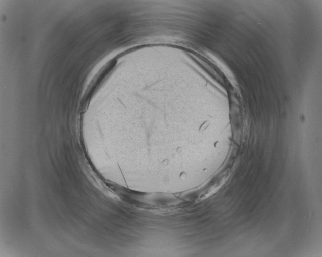 X0000083651340200703121735