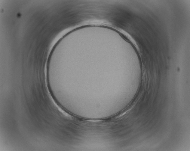 X0000083651343200703121735