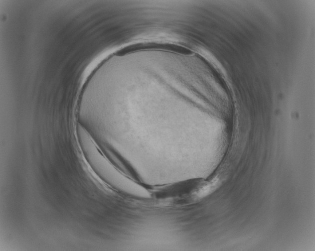 X0000083651344200703121736