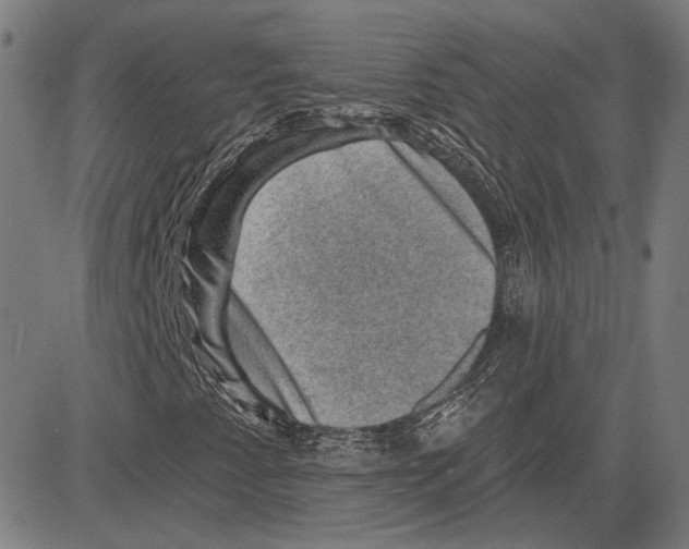 X0000083651345200703121735