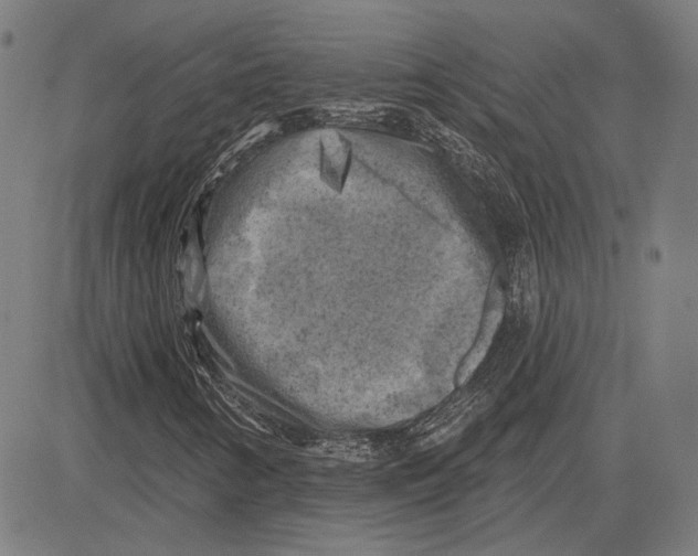 X0000083651346200703121735