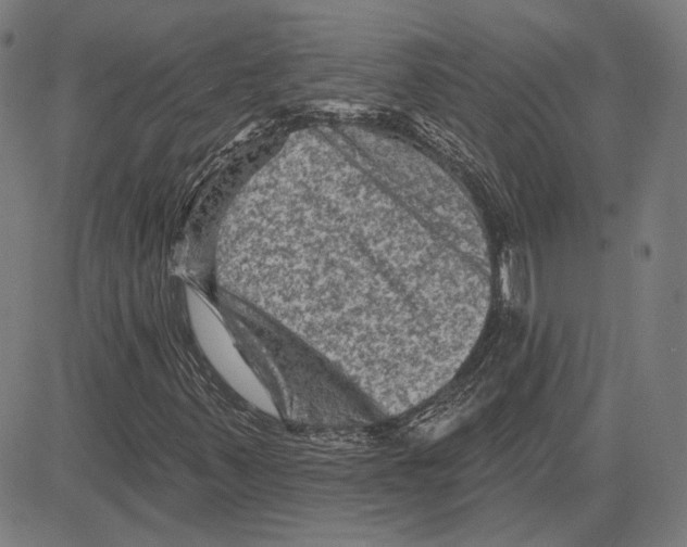 X0000083651347200703121735