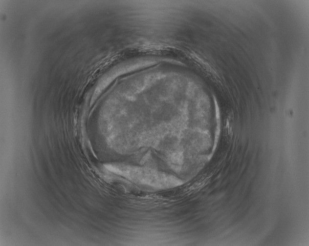 X0000083651348200703121735