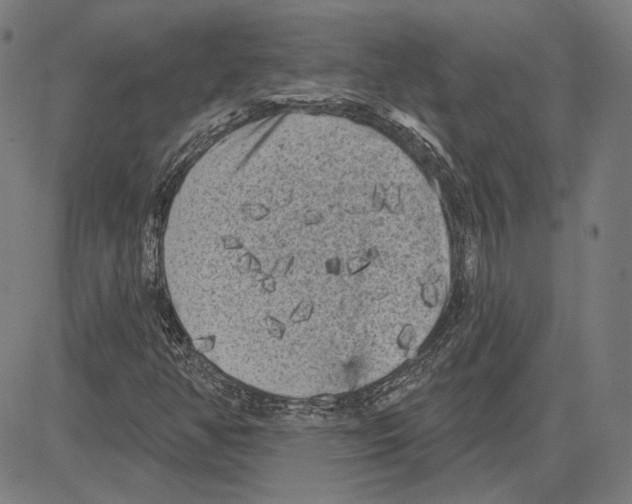 X0000083651350200703121735