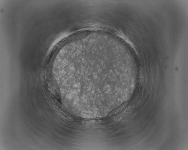 X0000083651352200703121735