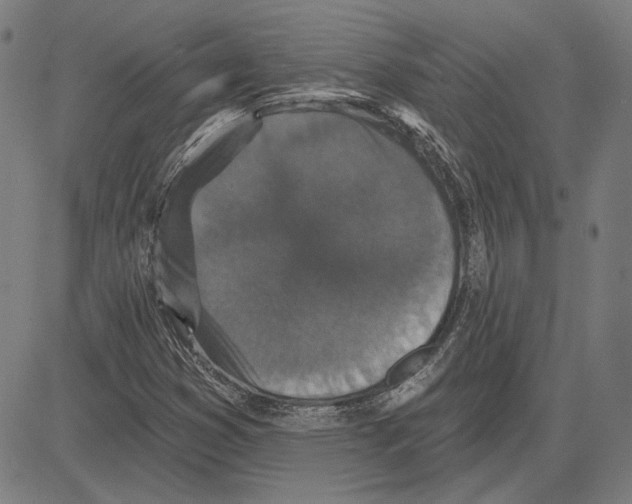 X0000083651353200703121735