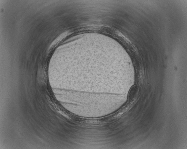 X0000083651354200703121735