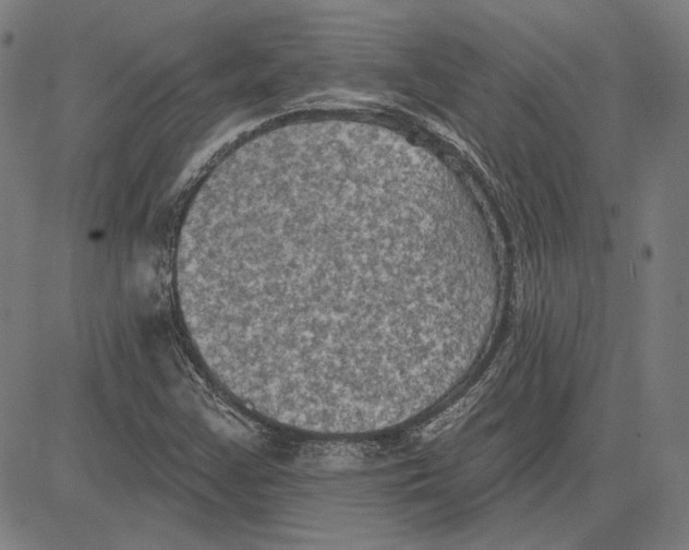 X0000083651355200703121735