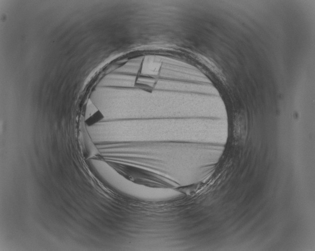 X0000083651356200703121735