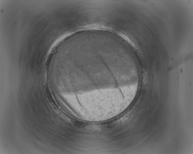 X0000083651358200703121734