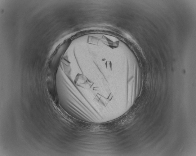 X0000083651360200703121734