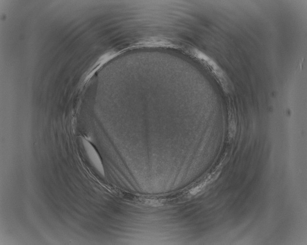 X0000083651361200703121734