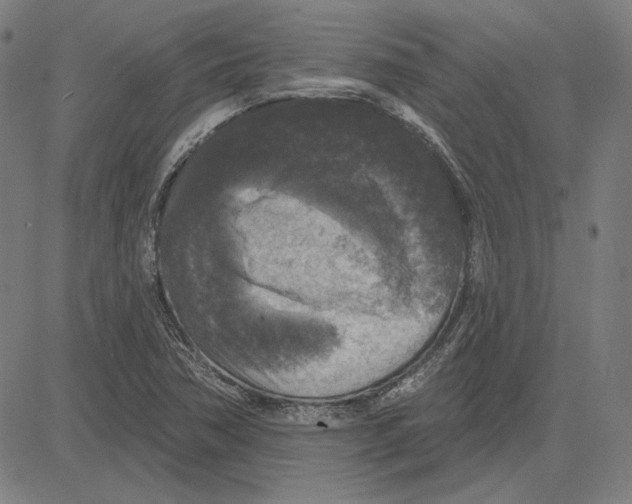 X0000083651362200703121734