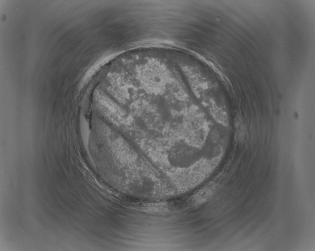 X0000083651363200703121734